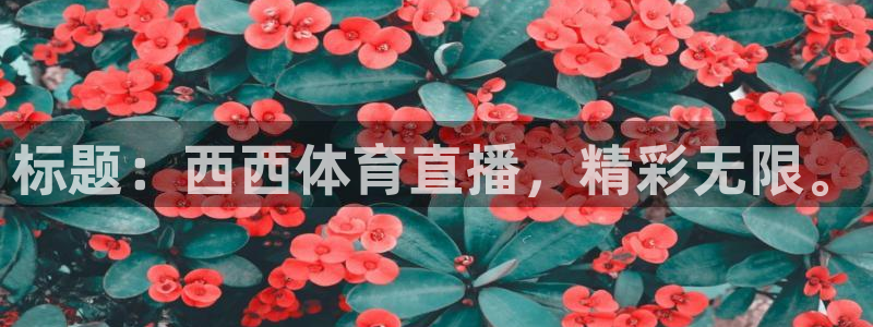 新闻图片