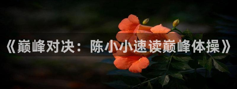 《巅峰对决：陈小小速读巅峰体操》