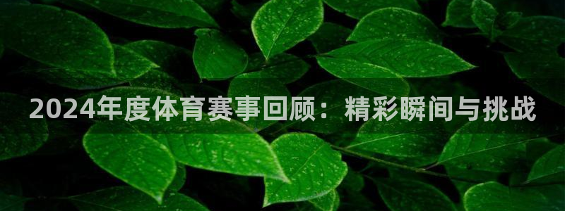 2024年度体育赛事回顾：精彩瞬间与挑战